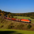 1144 117 - Freudenthal (Summerauerbahn)