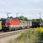 1144 265-4 (ÖBB) mit einem Güterzug in Großkarolinenfeld