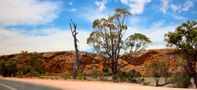 Murray River in Südaustralien von Helga Broel