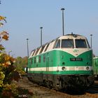 118 002 beim herbstlichen Sonnenbad