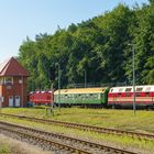  118 005 und 243 002 in Heringsdorf 