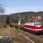 118 770-7 mit dem leeren Kokszug nach CZ bei Rathen am 23.03.2013