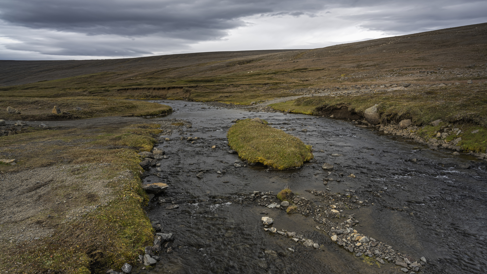 1184 Reykjará