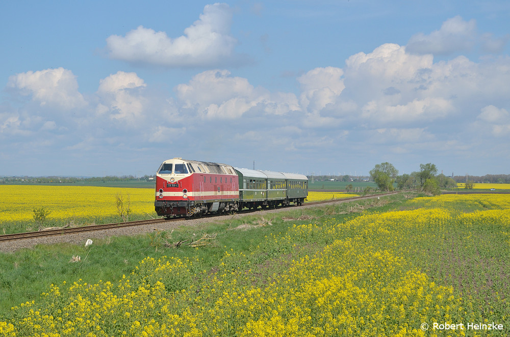 119 158 mit einem Pendelzug Egeln - Schneidlingen im Raps