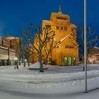 1193SC-1205SC Dom mit Domplatz Minden Winter beleuchtet Panorama 