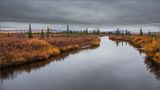 Herbst in Alaska by Barbara A.S.