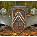 11CV - Traction Avant im Ruhestand