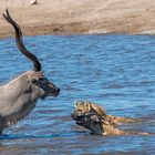 11_Erinnerung an Namibia April 2017