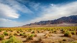 Devil's Cornfield by Guido K.