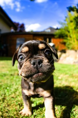 11.Woche ....1.Tag im neuen Zuhause ....#strange