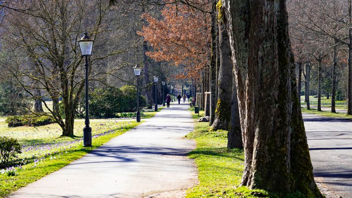 12-52 Endlich Frühling!