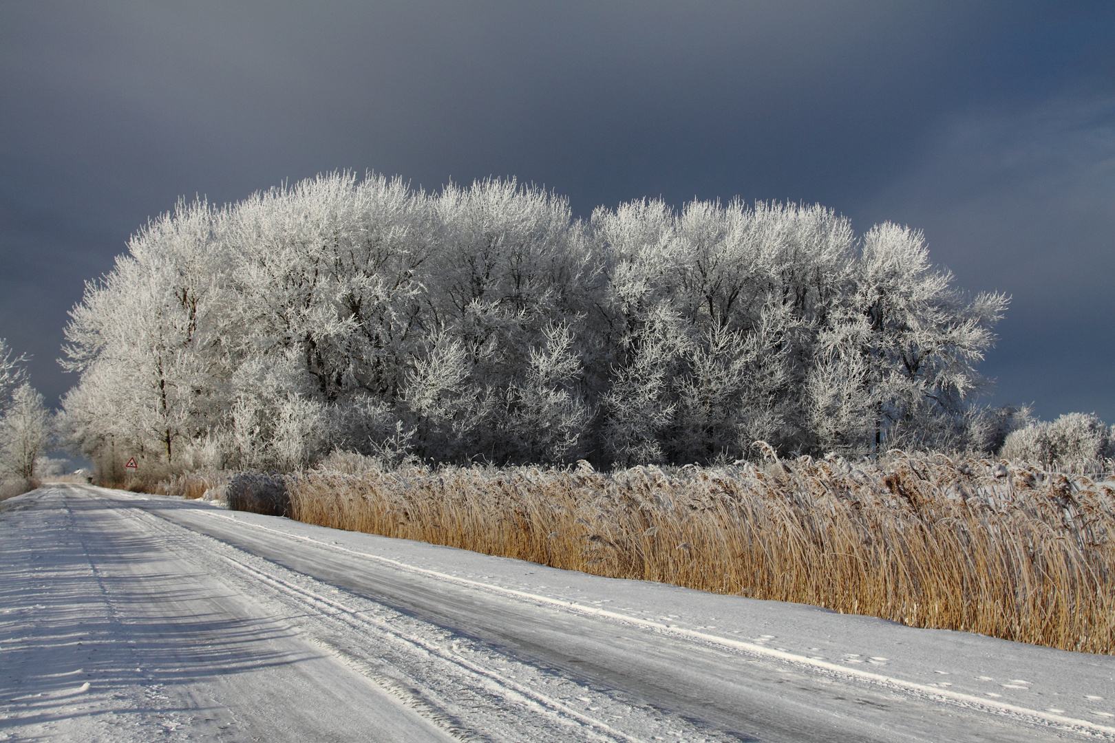 - 12 °C