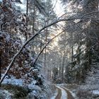 (12) Der erste richtige Schnee diesen Winter - ein wunderschöner Sonntagmorgen-Spaziergang