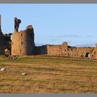 12 Dunstanburgh castle 10