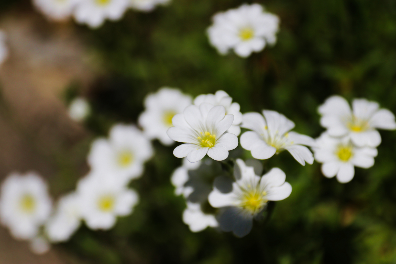 12 - Fotowalk Rotenberg und Mönchberg