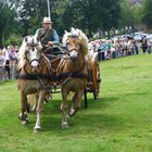 12. Kutschenkorso in Kirchhellen