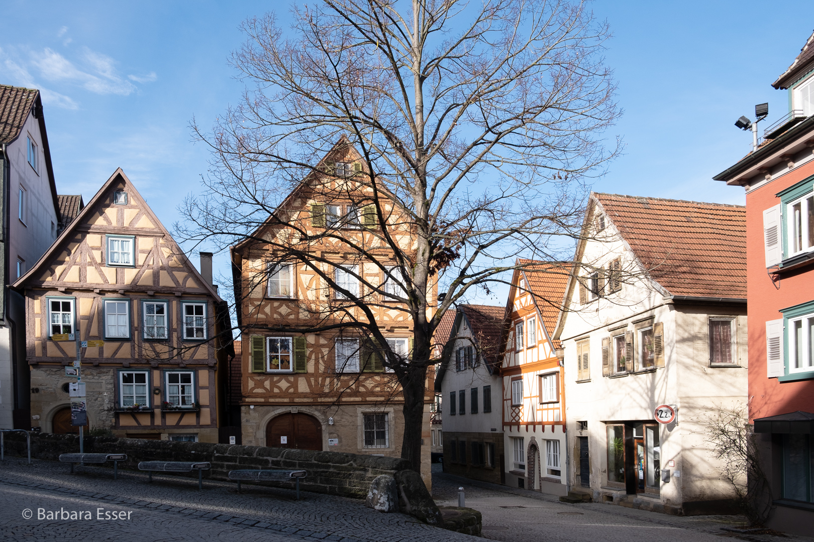 12-Lauschiges Plätzchen an der Niklastorstrasse