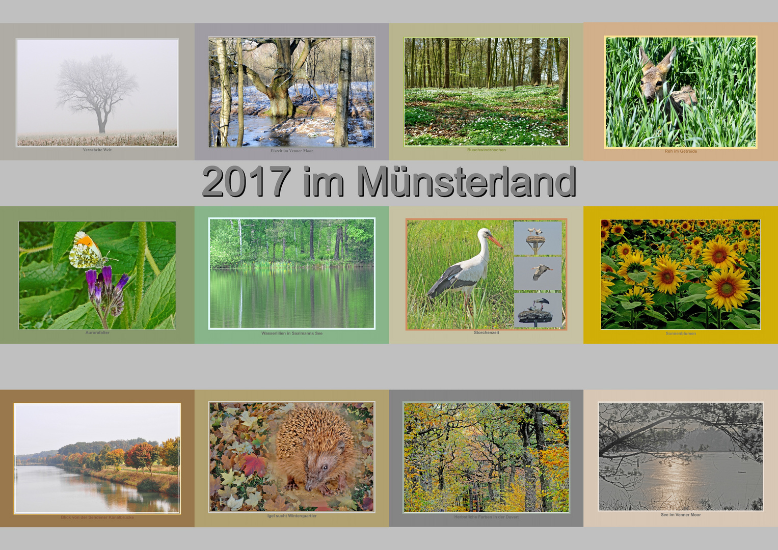 12 Monate im Münsterland