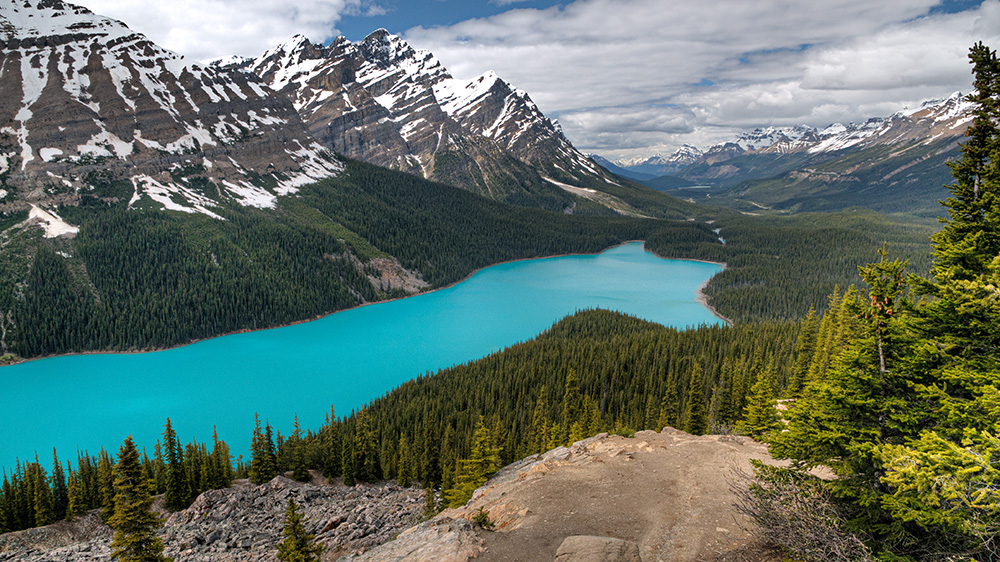 12. Tag: Peyto Lake