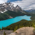 12. Tag: Peyto Lake