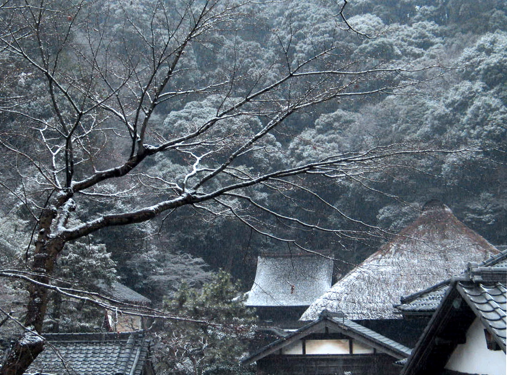 1/2 tag schnee in kamakura