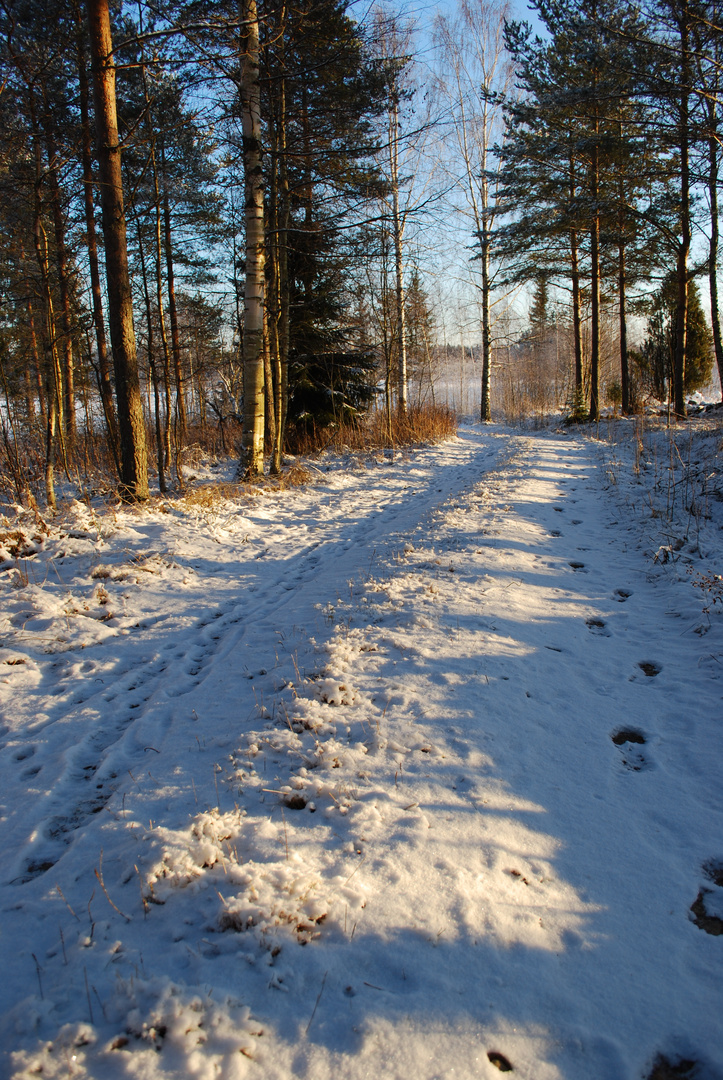 12 Uhr Mittags, höchststand der Sonne