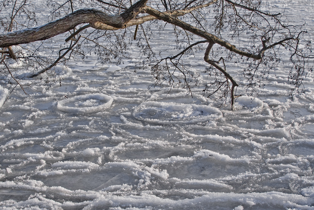 (12) Winterspaziergang