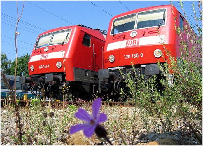 120 130 + 120 141 in Pasing Betriebsbahnhof