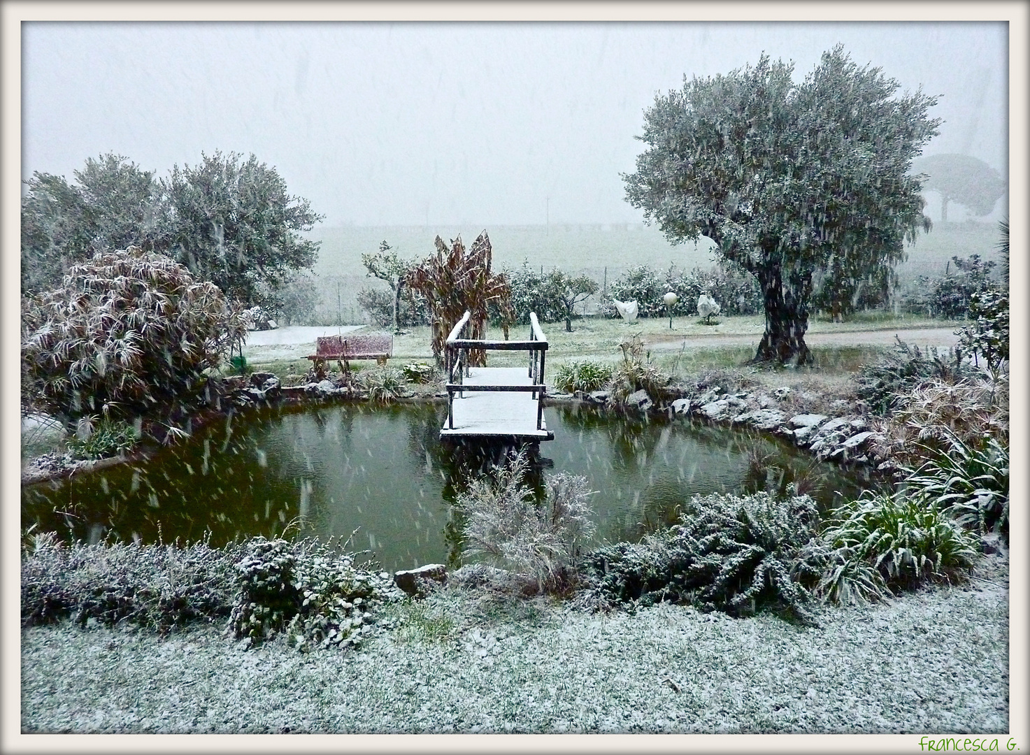 12/02/2010 ROMA E' RICOPERTA DI NEVE!!!