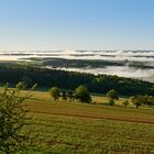 12.05.2020 um 7 Uhr, was für ein fantastischer Tagesbeginn vor meiner Haustür...