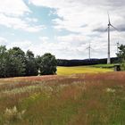 12.07.2020  Ökoausgleichsfläche mit mit Durchblick Richtung Westen