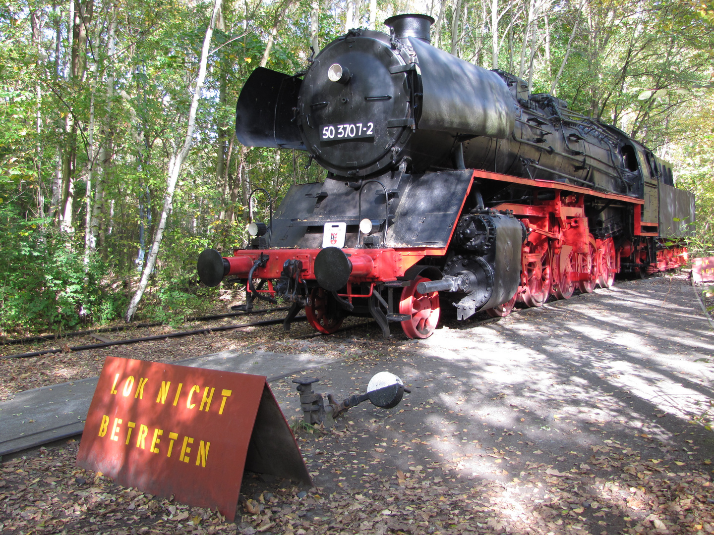 121020 015 Naturpark Südgelände