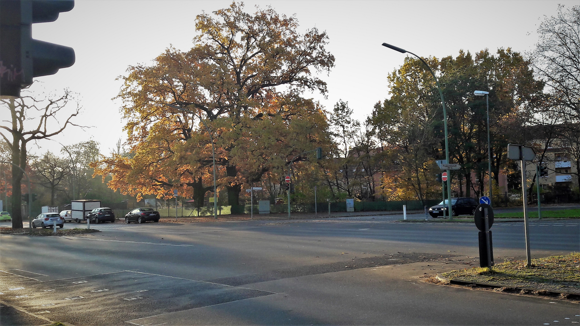 12.11.2019  Herbst in  Berlin Reinickendorf