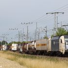 1216 952-2 Wiener Lokalbahnen Cargo GmbH (3)