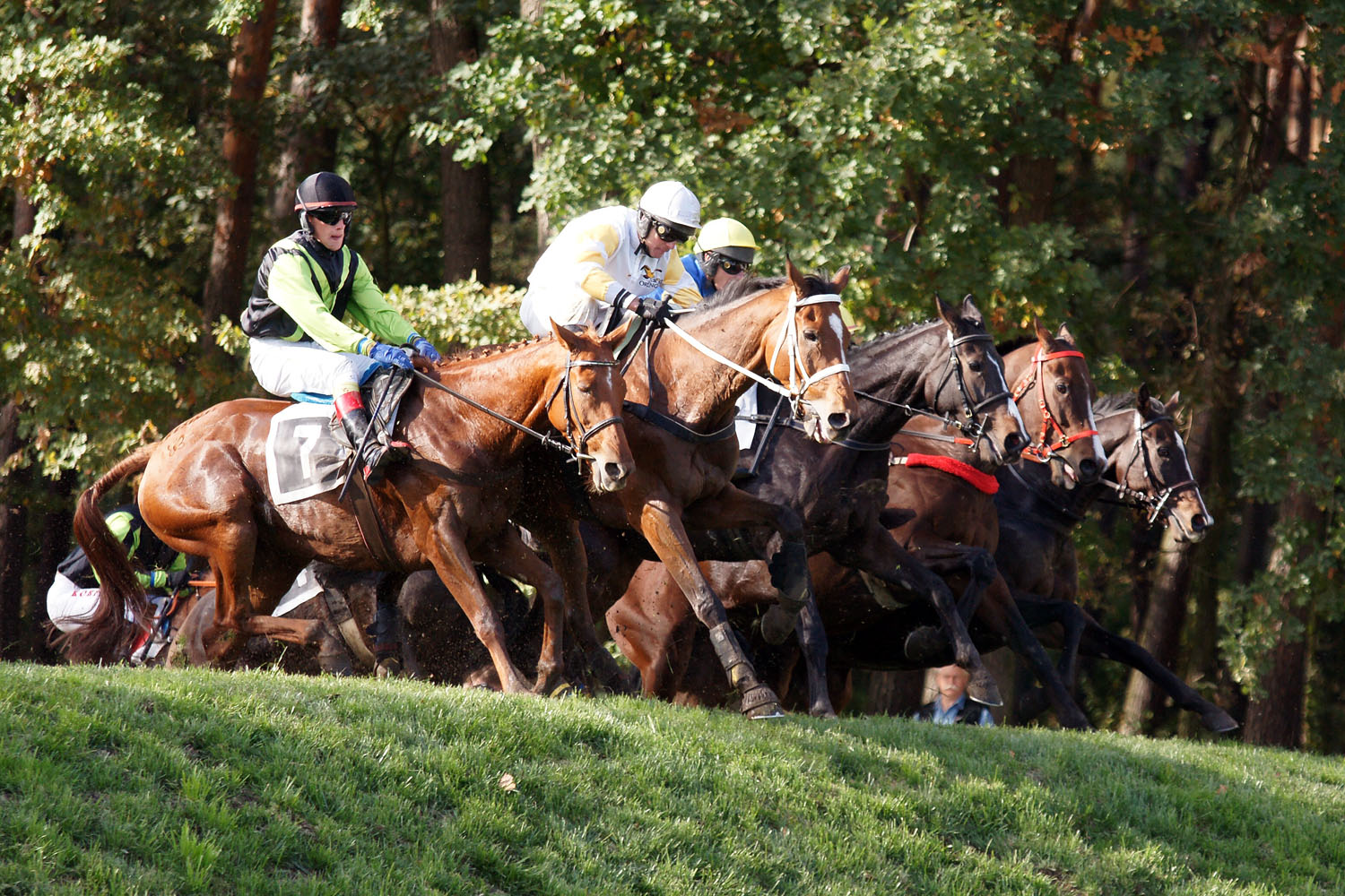 122. Velka Pardubice