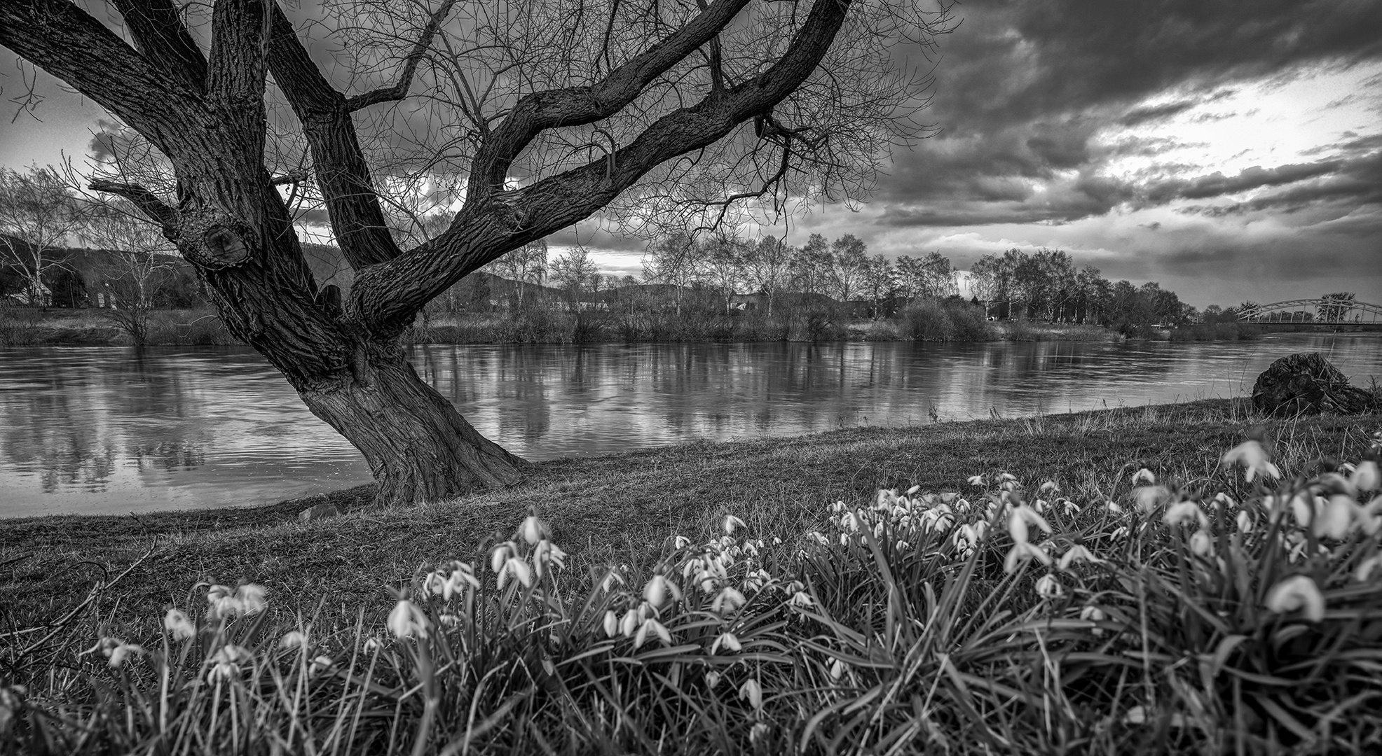 1228T Abendstimmung an der Weser bei Rinteln SW