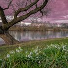 1228TZ Abendstimmung an der Weser bei Rinteln