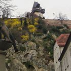 (123) aufgang zum schlossberg