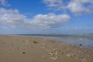 Strand Muscheln by AlexanderHts