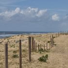 1,2,3,4.... POteaux sur la dune