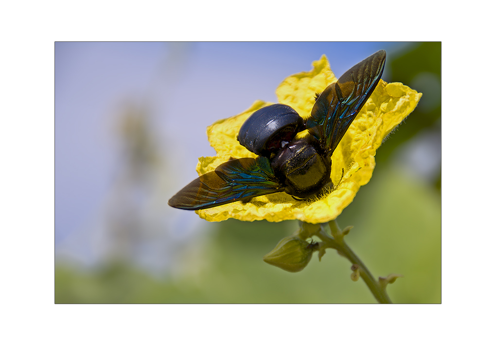 (124/09) Ab und an mal abtauchen ...