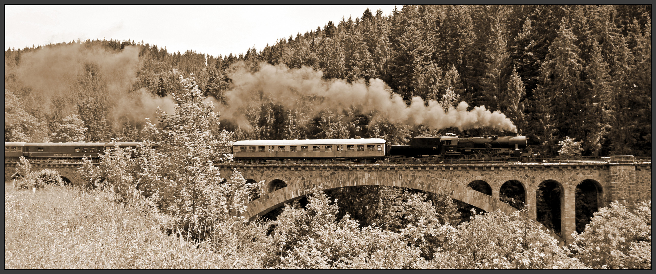 125 Jahre Höllentalbahn - Dampflokfahrt Titisee - Donaueschingen II