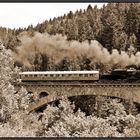 125 Jahre Höllentalbahn - Dampflokfahrt Titisee - Donaueschingen II