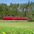 125 Jahre Lokalbahn Wicklesgreuth-Windsbach XIV