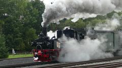 125 Jahre Preßnitztalbahn Steinbach/Erzgebirge