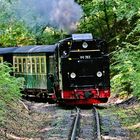 125 Jahre " Rasender Roland " auf Rügen