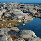 1253UZ Peggys Cova Felsen- Küste Canada