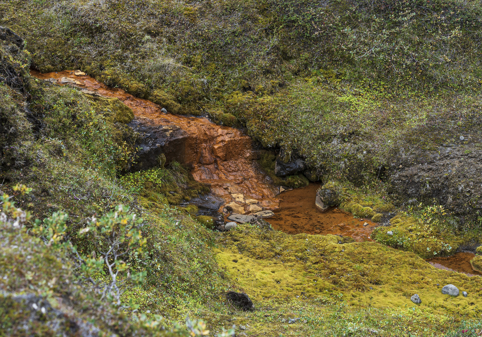 1262 Bachlauf des Meljaðafjall