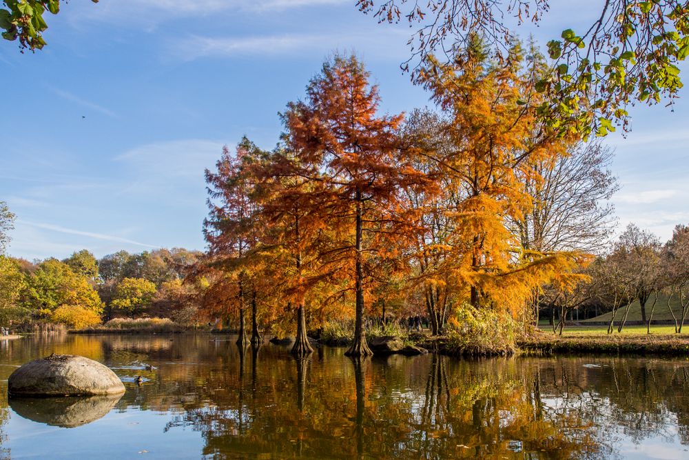 Herbstliche Stimmung am See im Westpark München von Feuerelfin