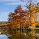 Herbstliche Stimmung am See im Westpark Mnchen